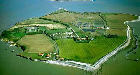 Visite et découverte de l'ile Madame en Charente Maritime 17